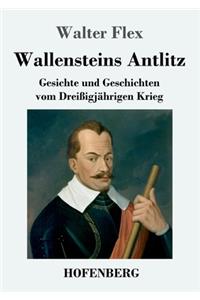 Wallensteins Antlitz