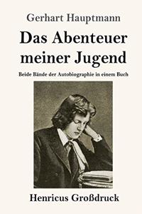 Das Abenteuer meiner Jugend (Großdruck)