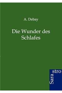 Wunder Des Schlafes