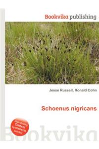Schoenus Nigricans
