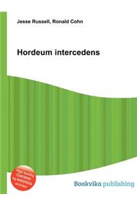 Hordeum Intercedens