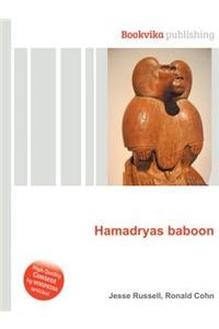 Hamadryas Baboon