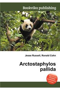 Arctostaphylos Pallida