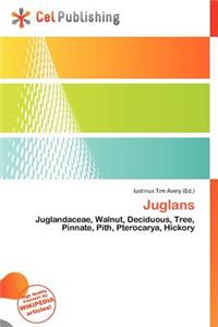 Juglans