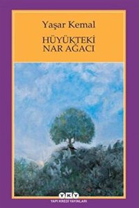 Huyukteki Nar AgacÄ±