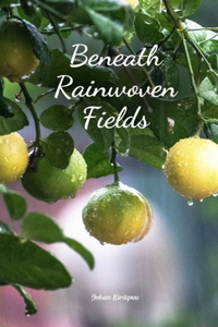 Beneath Rainwoven Fields