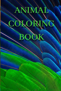 Animal Coloring Book