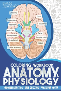 Anatomy And Physiology Coloring Workbook