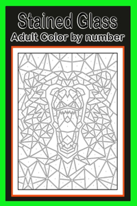 Stained Glass: Color By Number Adult Coloring Book for Stress Relief, Relaxation