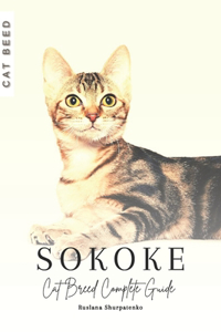 Sokoke Cat