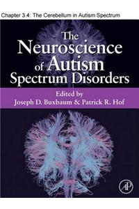 The Cerebellum in Autism Spectrum Disorders