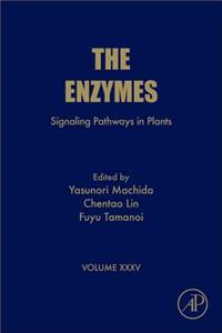 Signaling Pathways in Plants