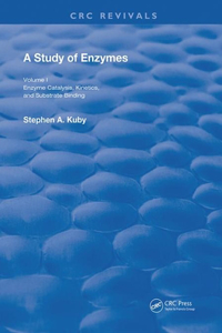 Study of Enzymes