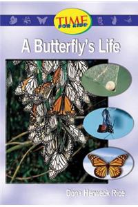 A Butterfly's Life