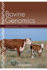 Bovine Genomics