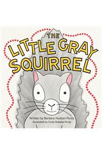 Little Gray Squirrel