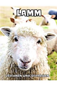 Lamm