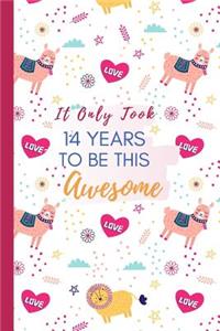 It Only Took 14 Years to be this Awesome