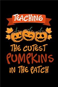 Teaching The Cutest Pumpkins In The Patch