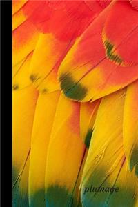 Plumage