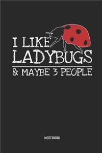 I Like Ladybugs - Notebook