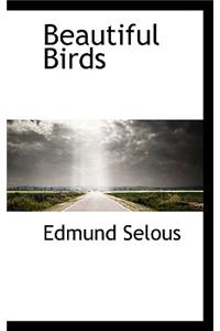 Beautiful Birds