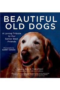 Beautiful old dogs