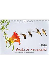 Etudes De Mouvements 2018