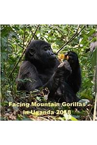 Facing Mountain Gorillas in Uganda 2018