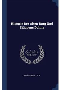 Historie Der Alten Burg Und Städgens Dohna