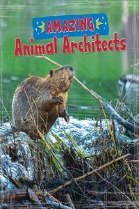 Amazing Animal Architects