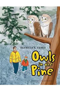 Owls in the Pine