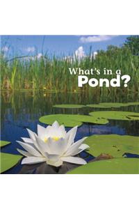 What's in a Pond?