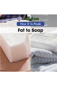 Fat to Soap