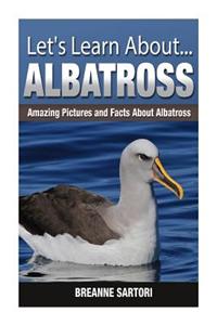 Albatross: Amazing Pictures and Facts about Albatross