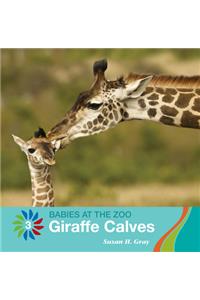 Giraffe Calves