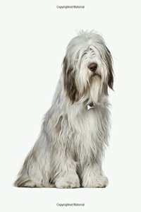 Bearded Collie: Artified Pets Dog Journal/Notebook/Diary
