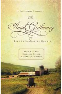 Amish Gathering
