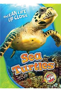 Sea Turtles