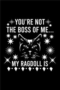 You're not the boss of me... my Ragdoll is