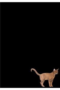 Abyssinian Cat Journal