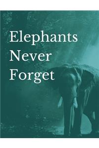 Elephants Never Forget