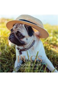 Pugs Calendar 2020
