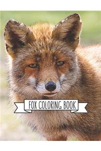 Fox Coloring Book