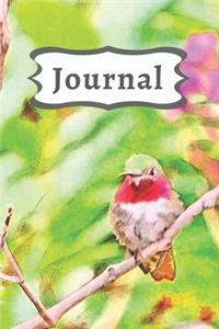 Pink Flowers & Green Ruby throated Hummingbird Diary, Pretty Bird Journal for Daily Thoughts