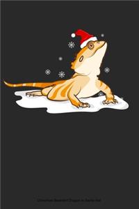 Bearded Dragon in Santa Hat