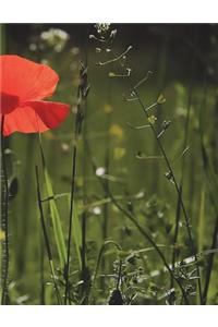 Poppy Notebook Large Size 8.5 x 11 Ruled 150 pages Softcover