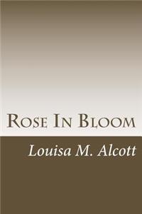 Rose In Bloom