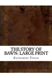 The Story of Bawn