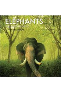 Elephants Calendar 2019